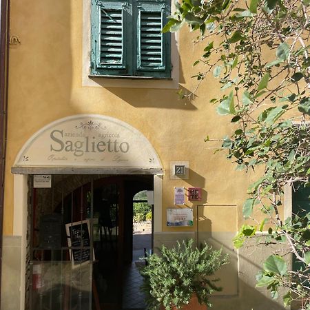 Uliveto Saglietto Agriturismo A Poggi Apartments Imperia Extérieur photo