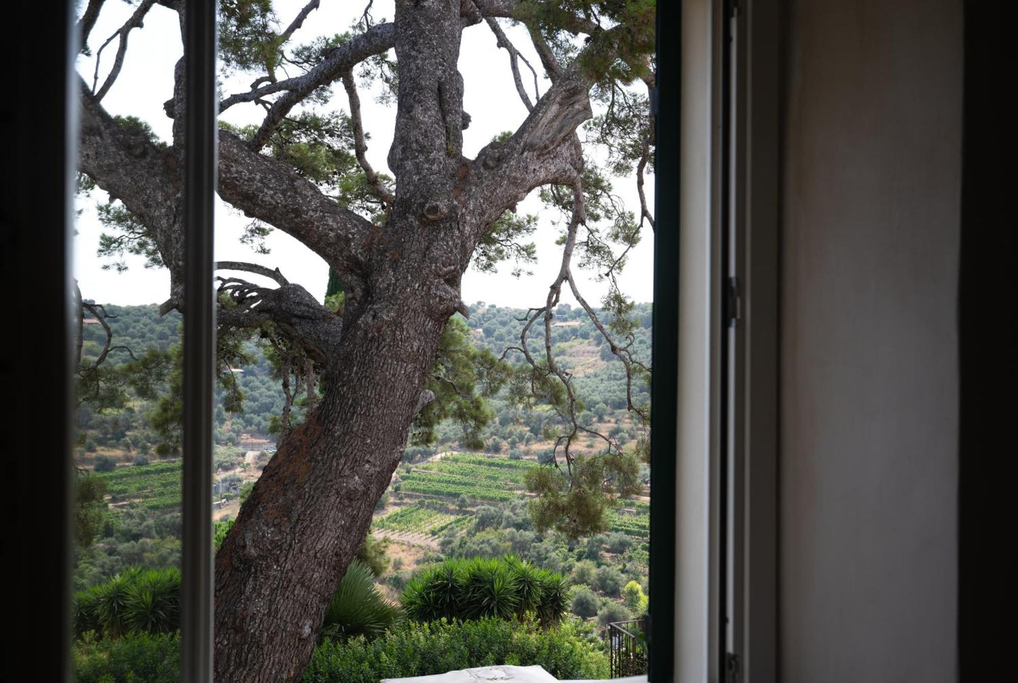 Uliveto Saglietto Agriturismo A Poggi Apartments Imperia Extérieur photo