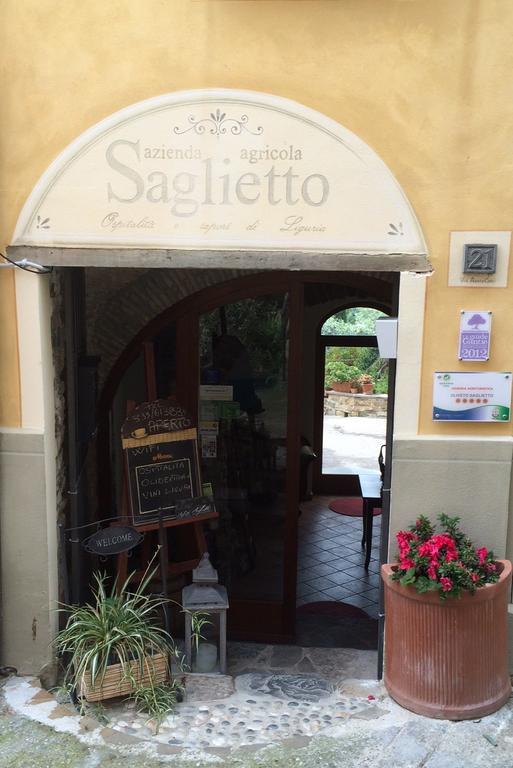 Uliveto Saglietto Agriturismo A Poggi Apartments Imperia Extérieur photo