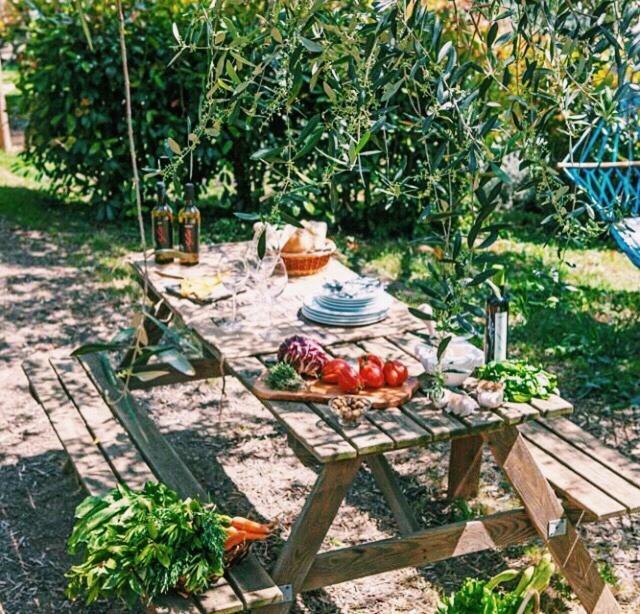 Uliveto Saglietto Agriturismo A Poggi Apartments Imperia Extérieur photo