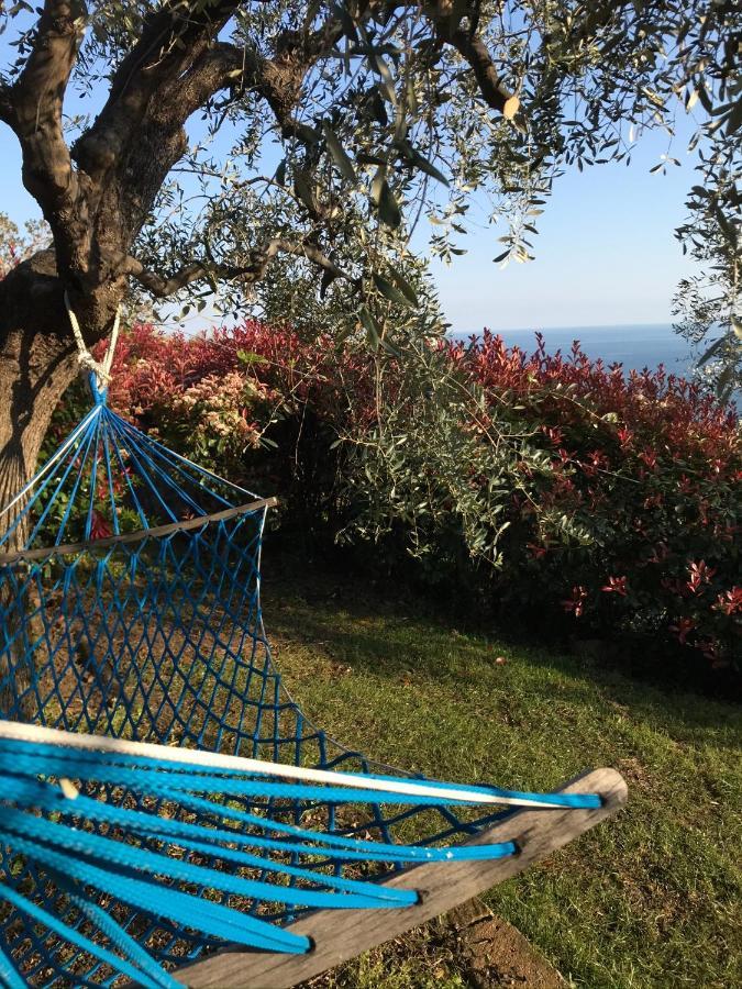 Uliveto Saglietto Agriturismo A Poggi Apartments Imperia Extérieur photo